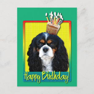 Birthday Cupcake - Cavalier - Tri-Colour Postcard