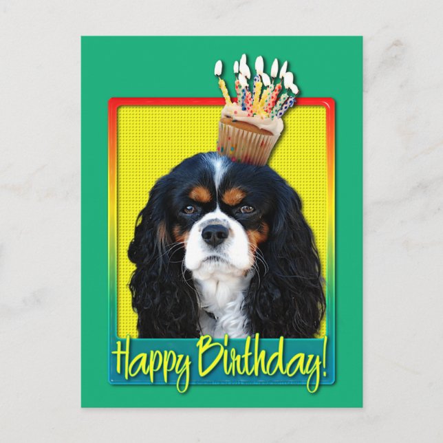 Birthday Cupcake - Cavalier - Tri-Colour Postcard (Front)