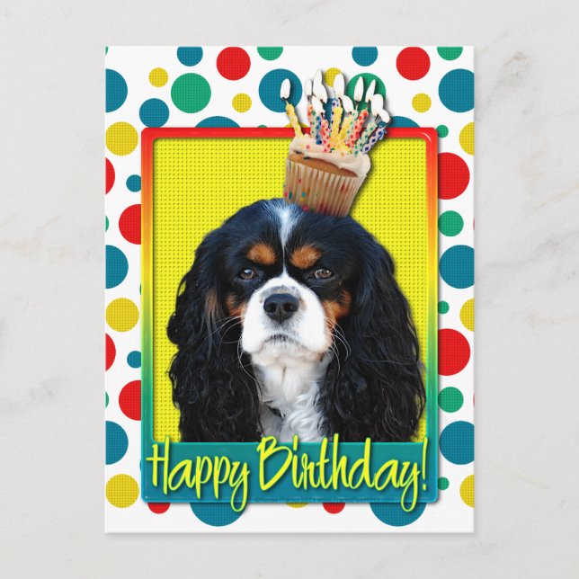 Birthday Cupcake - Cavalier - Tri-Colour Postcard (Front)