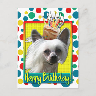 Birthday Cupcake - Chinese Crested - Kahlo Postcard
