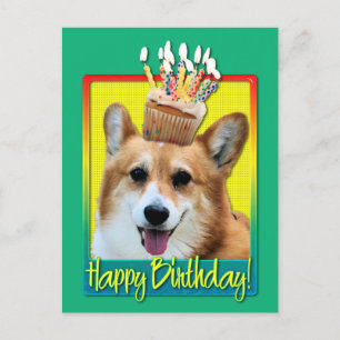 Birthday Cupcake - Corgi - Owen Postcard