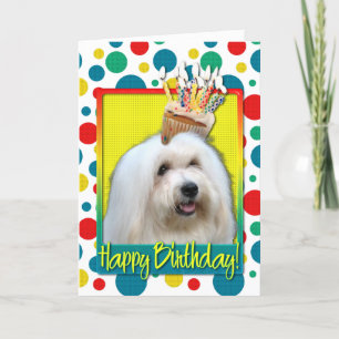 Birthday Cupcake - Coton de Tulear Card