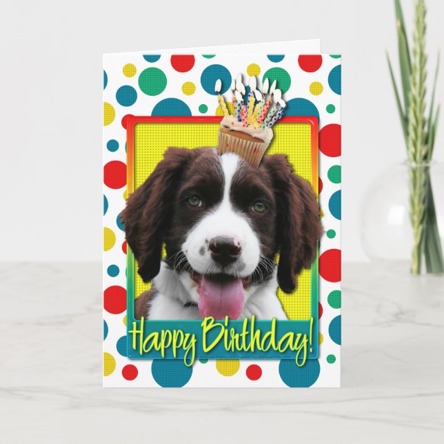 Birthday Cupcake -English Springer Spaniel -Baxter Card (Front)