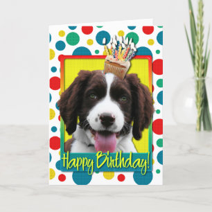 Birthday Cupcake -English Springer Spaniel -Baxter Card
