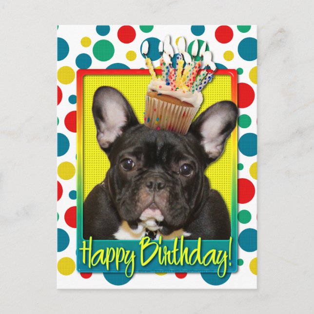 Birthday Cupcake - French Bulldog - Teal Postcard (Front)
