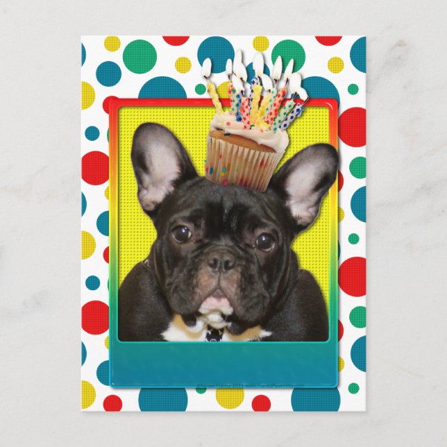 Birthday Cupcake - French Bulldog - Teal Postcard (Front)