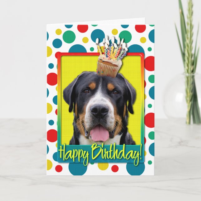 Birthday Cupcake - Greater Swiss Mountain Dog Card (Front)