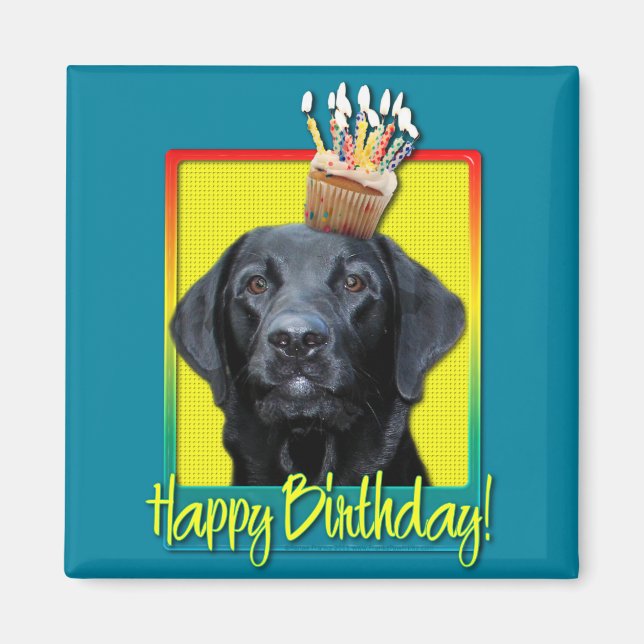 Birthday Cupcake - Labrador - Black - Gauge Magnet (Front)