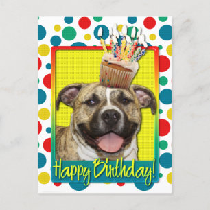 Birthday Cupcake - Pitbull - Tigger Postcard