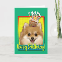 Birthday Cupcake Pomeranian