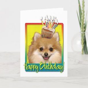 Birthday Cupcake - Pomeranian Card