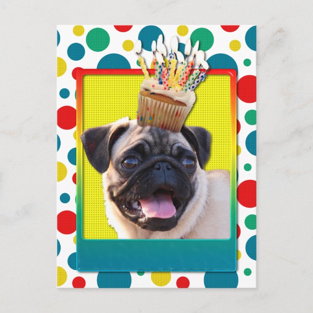 Birthday Cupcake - Pug Postcard (Front)