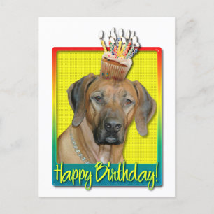 Birthday Cupcake - Rhodesian Ridgeback Postcard