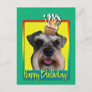 Birthday Cupcake - Schnauzer Postcard