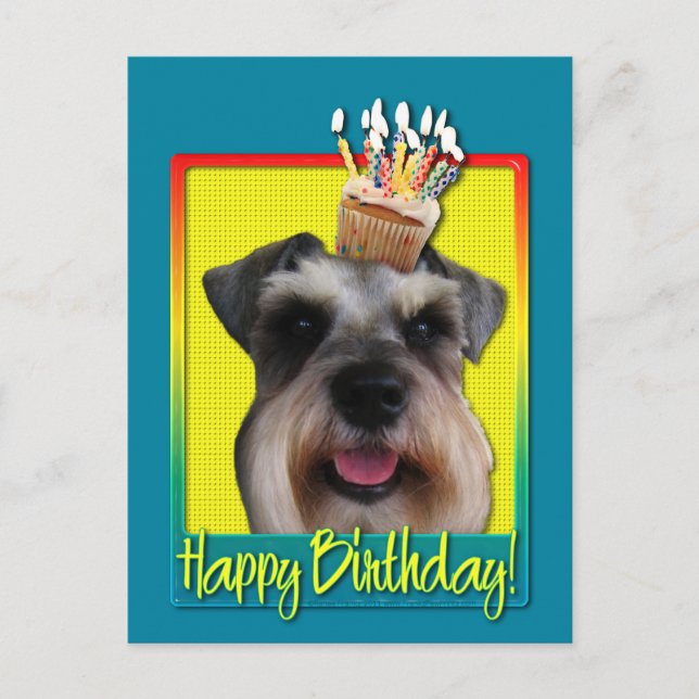 Birthday Cupcake - Schnauzer Postcard (Front)