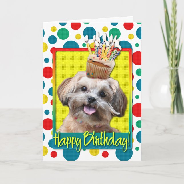 Birthday Cupcake - ShihPoo - Maggie Card (Front)