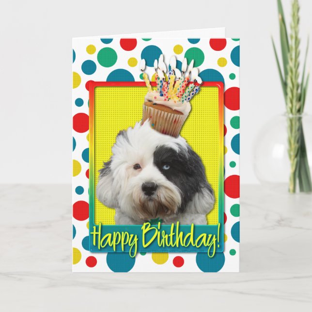 Birthday Cupcake - Tibetan Terrier Card (Front)