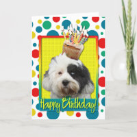 Birthday Cupcake - Tibetan Terrier