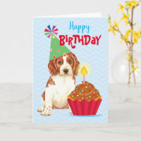 Birthday Cupcake Welsh Springer Spaniel