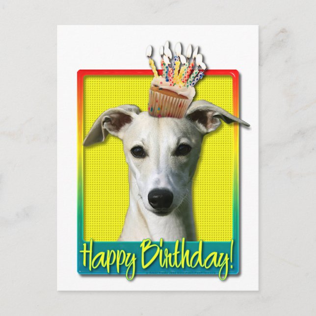 Birthday Cupcake - Whippet Postcard (Front)