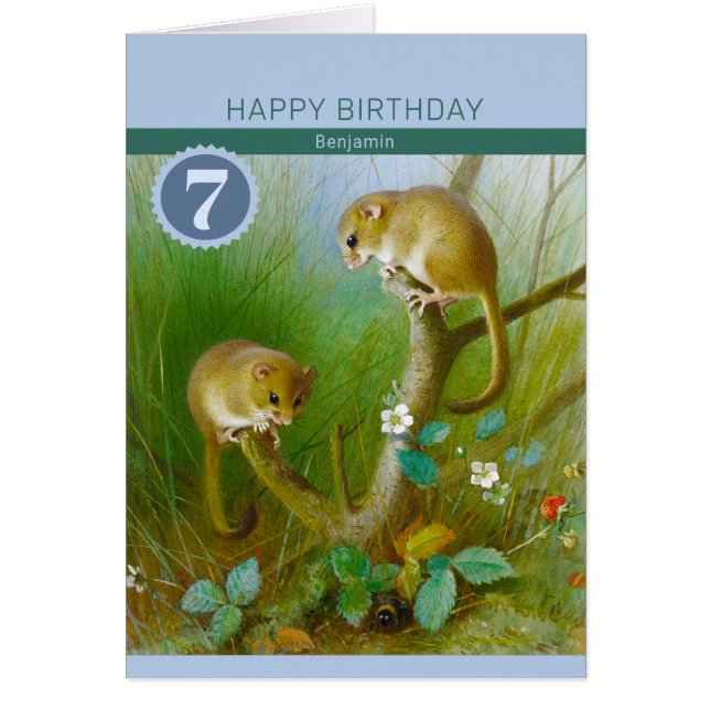 Birthday Cute dormice CC0713 Thorburn Card (Front)