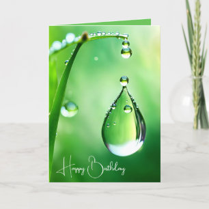 Birthday Dew Drop Card