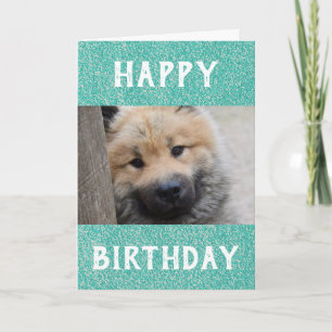 Birthday Dog Dad World's Best Ever Pet Photo Card