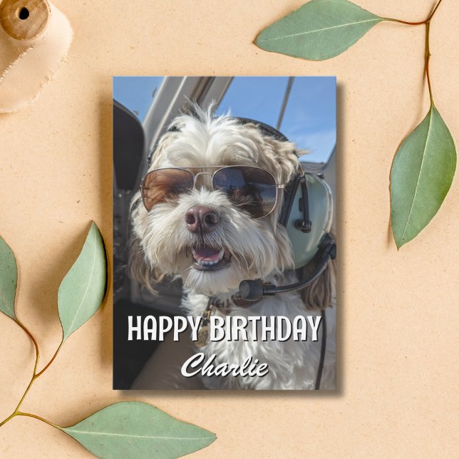 Birthday Dog Pilot Aviator Sunglasses Plane Funny Card (Creator Uploaded)