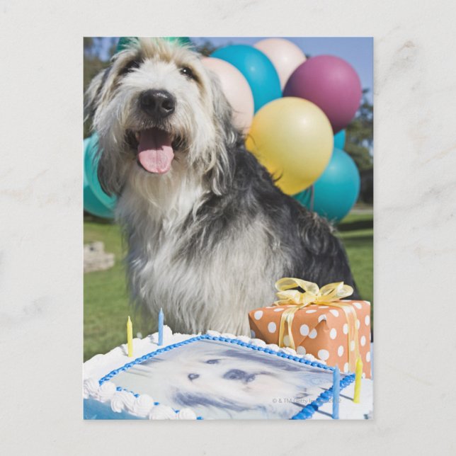 Birthday dog postcard (Front)