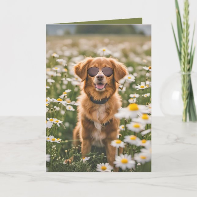 Birthday Dog With Sunglasses In Daisy Field Card (Front)