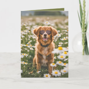 Birthday Dog With Sunglasses In Daisy Field Card