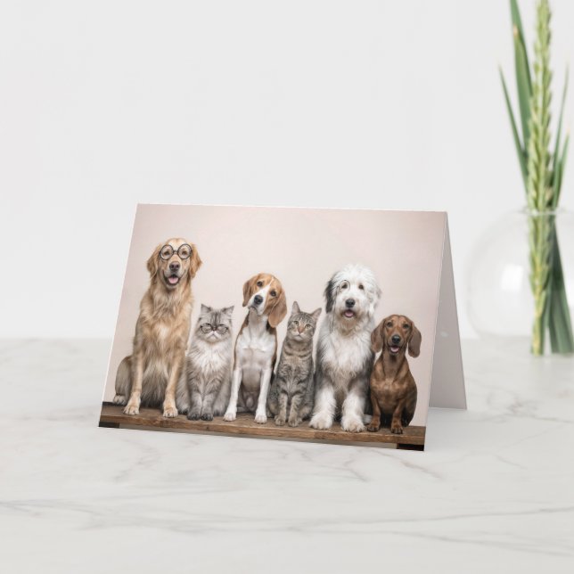 Birthday Dogs and Cats  Card (Front)