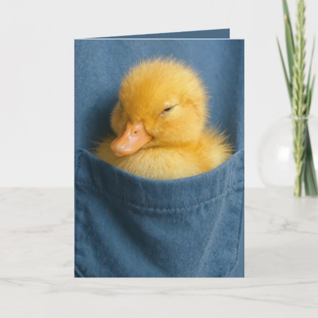 Birthday Duckling In a Blue T-shirt Pocket Card (Front)