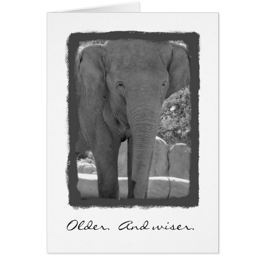 Birthday Elephant Card