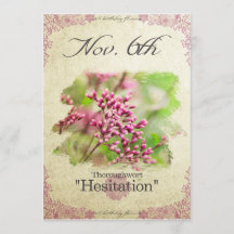 Birthday flowers on November 6th "Thoroughwort"