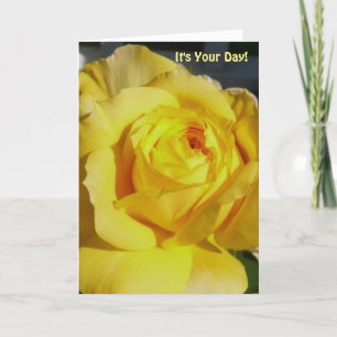 Birthday for anyone, yellow rose. card