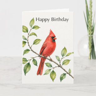 Birthday for Him Red Cardinal on Branch Card