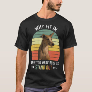 Birthday For Kids With Stand Out Whippet T-Shirt