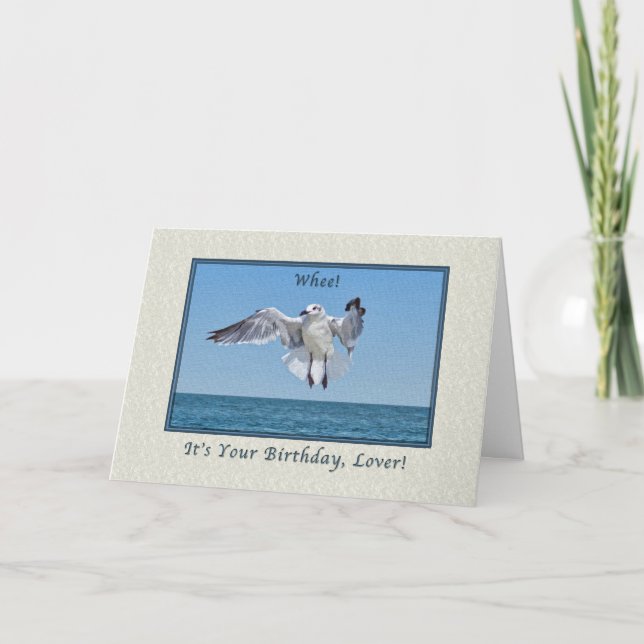Birthday for Lover with Laughing Gull Card (Front)