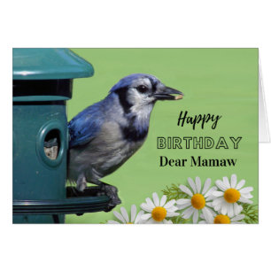 Birthday for Mamaw Blue Jay at Bird Feeder Daisies