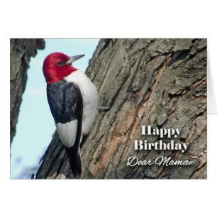 Birthday for Mamaw, Red-headed Woodpecker