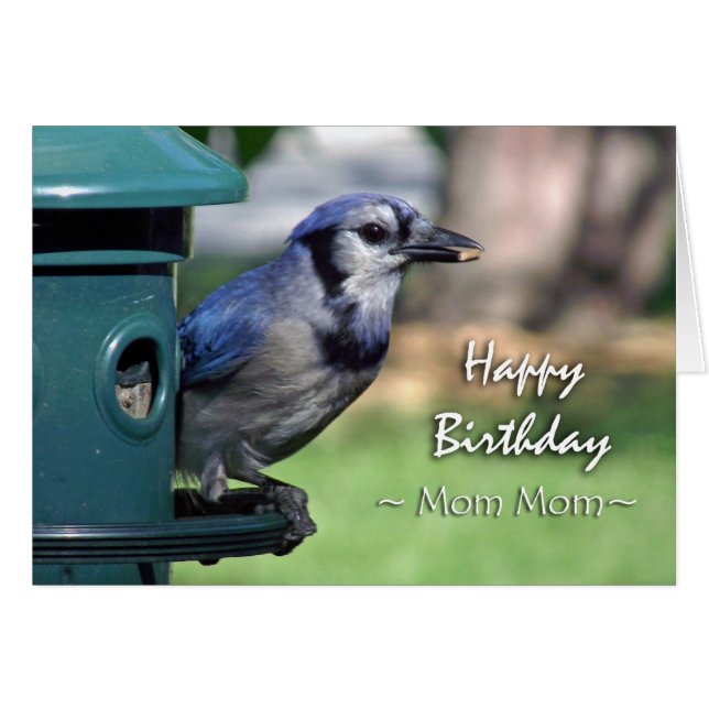 Birthday for Mom Mom, Blue Jay at Bird Feeder (Front Horizontal)
