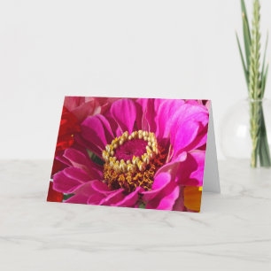Birthday for Mom, Pink Zinnia Flower Card