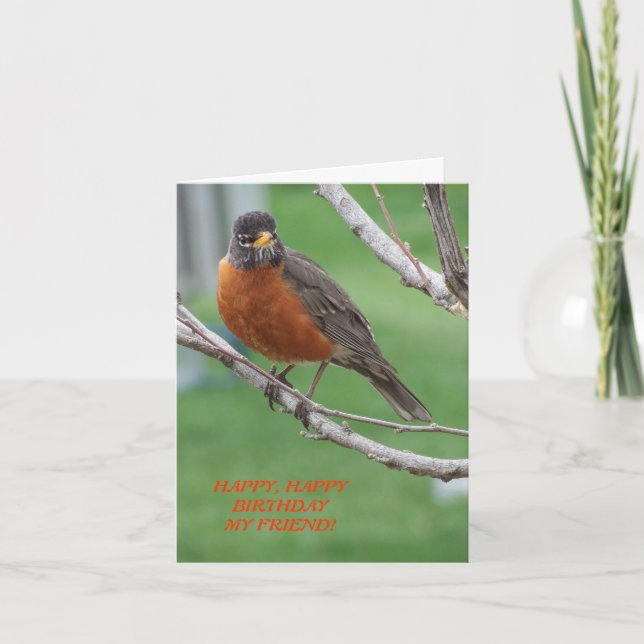 Birthday Friend, Robin & Cake Card (Front)