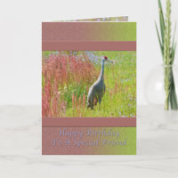 Birthday, Friend,  Sandhill Crane Bird