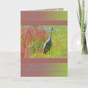 Birthday, Friend,  Sandhill Crane Bird Card