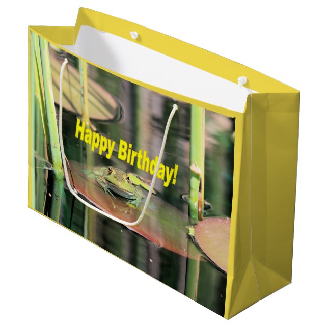 Birthday Frog Large Gift Bag (Front Angled)