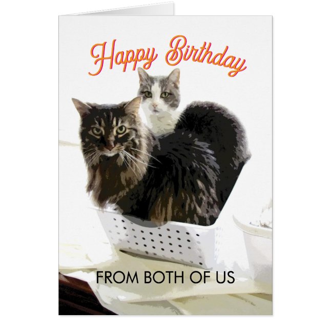 Birthday From Both Of Us Cute Cat Art  (Front)