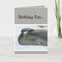 Birthday Fun Laughing Seal Age Humor