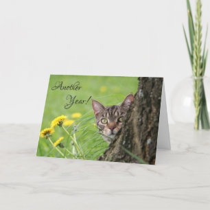 Birthday Funny Cat Tabby Nature Customize Card
